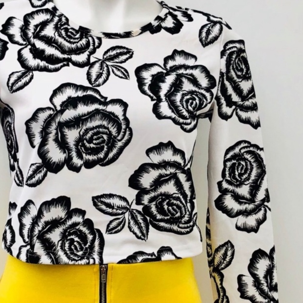 Nasty Gal Crop Top, long sleeves